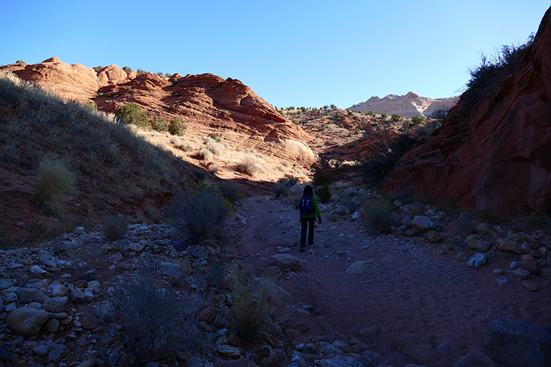 Wirepass Slot Canyon [Vermilion Cliffs Wilderness]