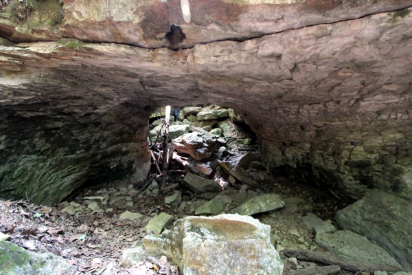 Wolf Natural Bridges