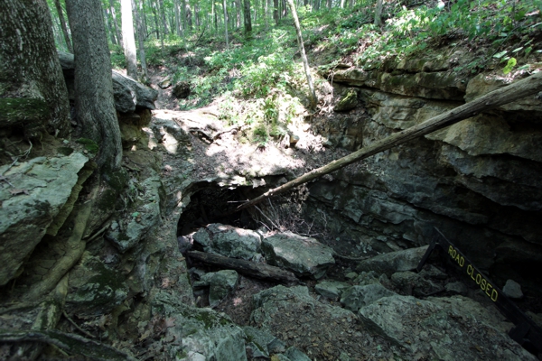 Wolf Natural Bridges