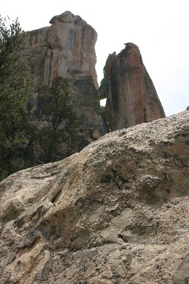 Woodpecker Arch