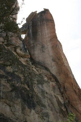 Woodpecker Arch