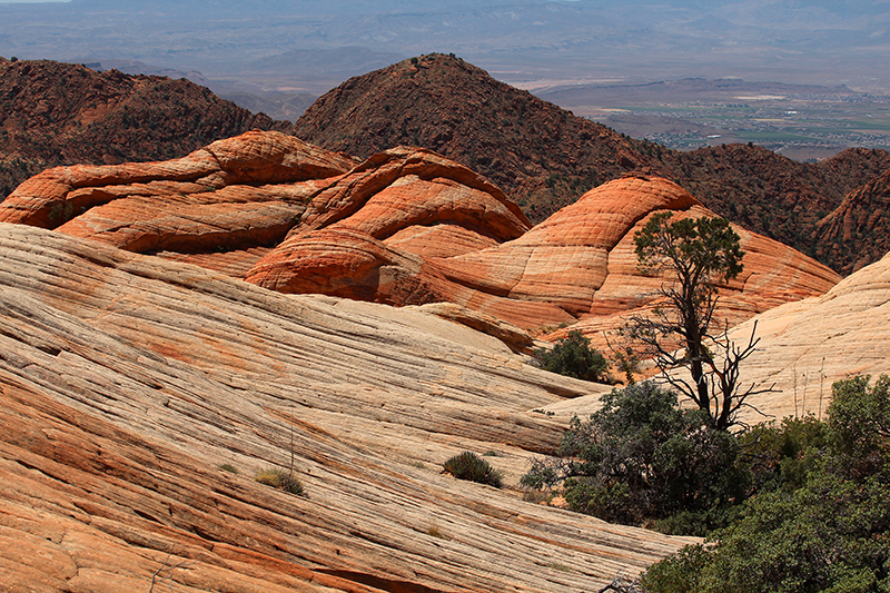 Yant Flat [Dixie National Forest]