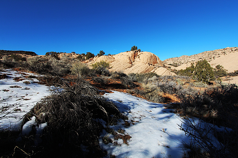 Yellow Knolls Black Gulch