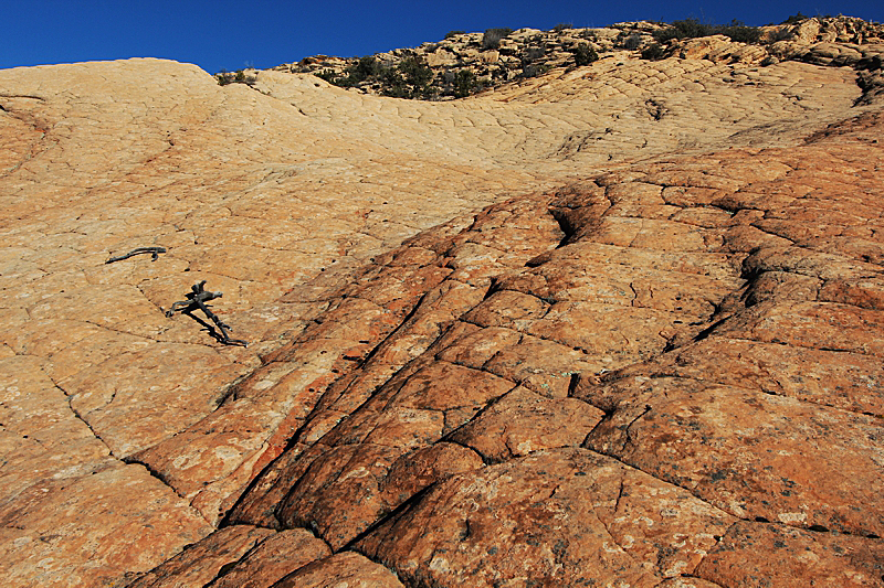 Yellow Knolls Black Gulch