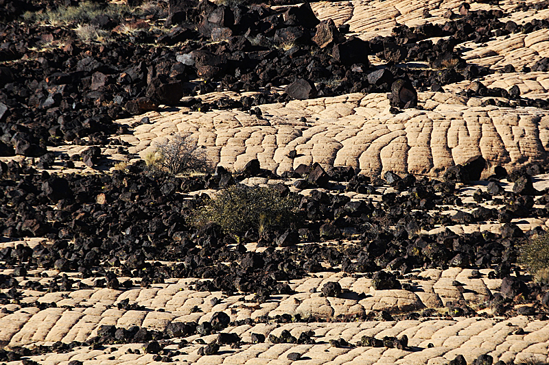 Yellow Knolls Black Gulch