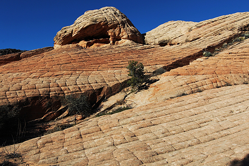 Yellow Knolls Black Gulch