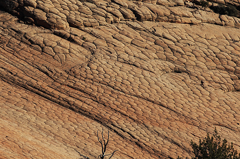 Yellow Knolls Black Gulch