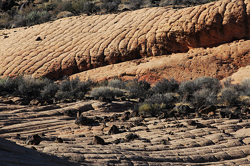 Yellow Knolls Black Gulch