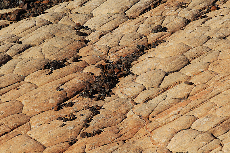 Yellow Knolls Black Gulch