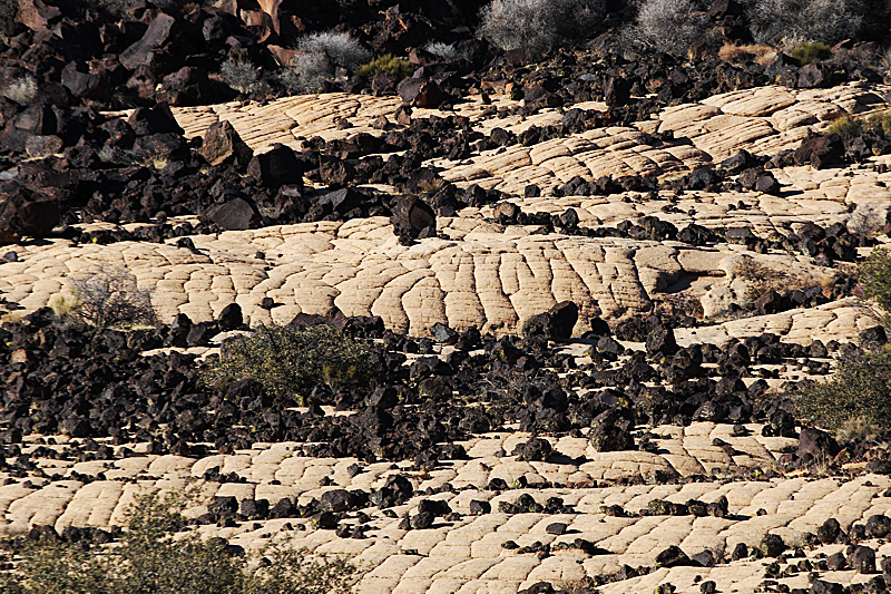 Yellow Knolls Black Gulch