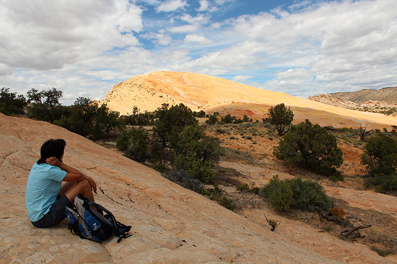 Yellow Rock - Cottonwood Canyon Road - Utah [UT]