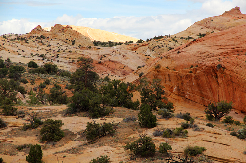 Red Top to Yellow Rock [Cottonwood Canyon]