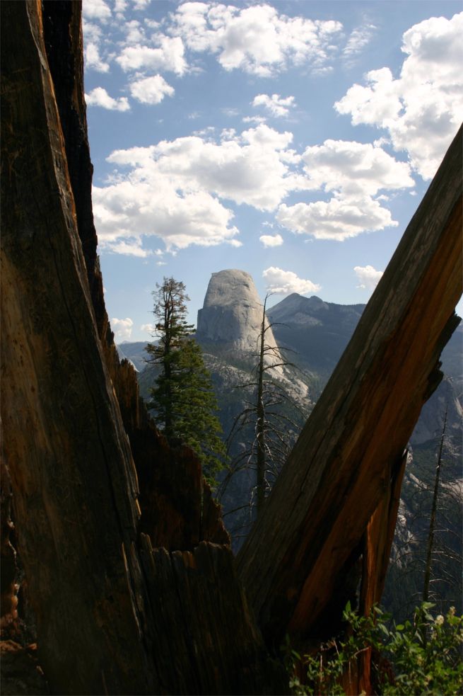 Yosemite National Park