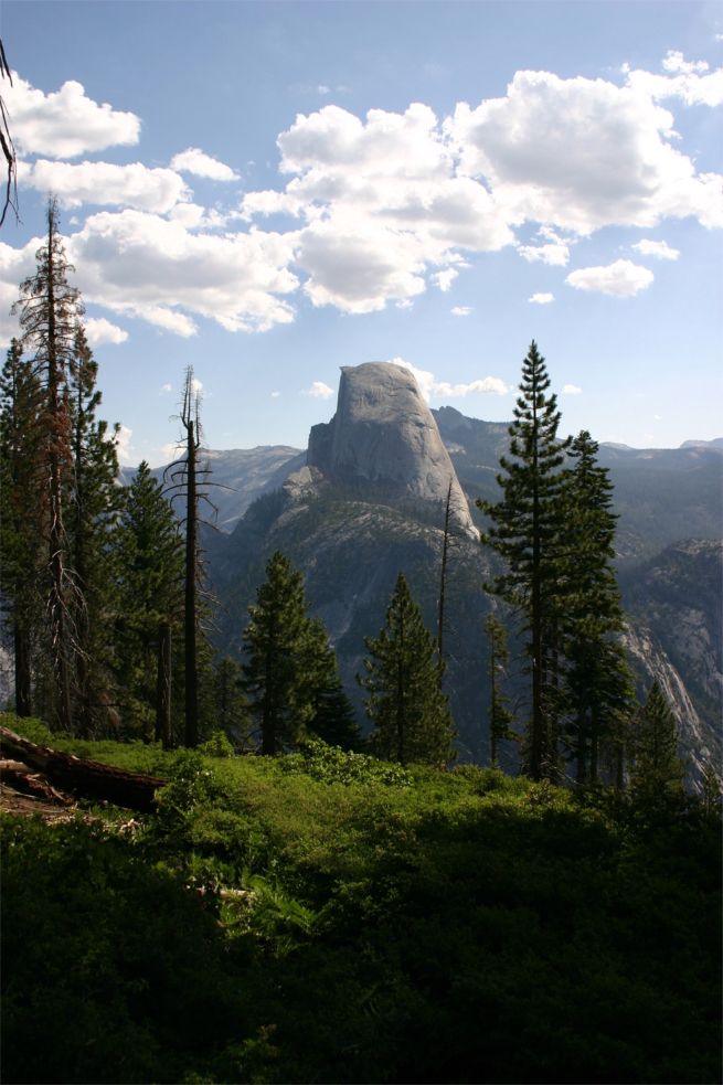 Yosemite National Park