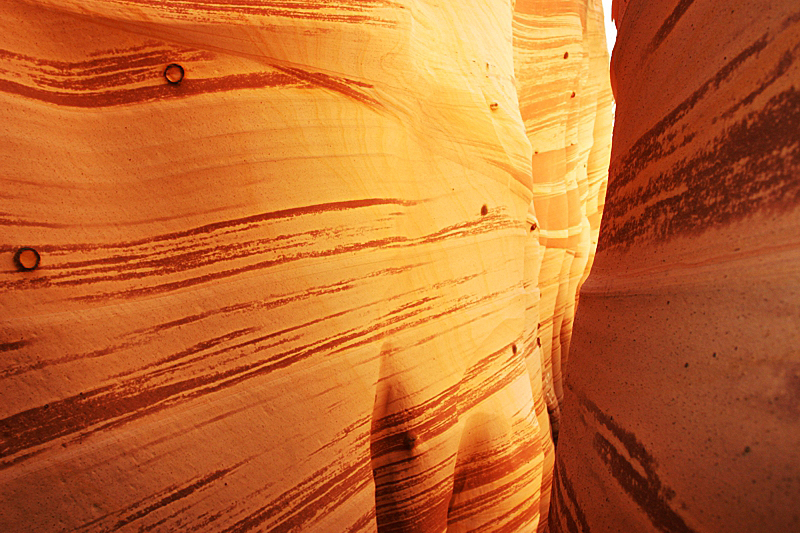 Big Horn und Zebra Slot Canyon