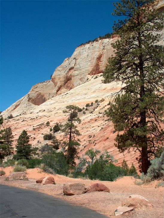 Zion National Park