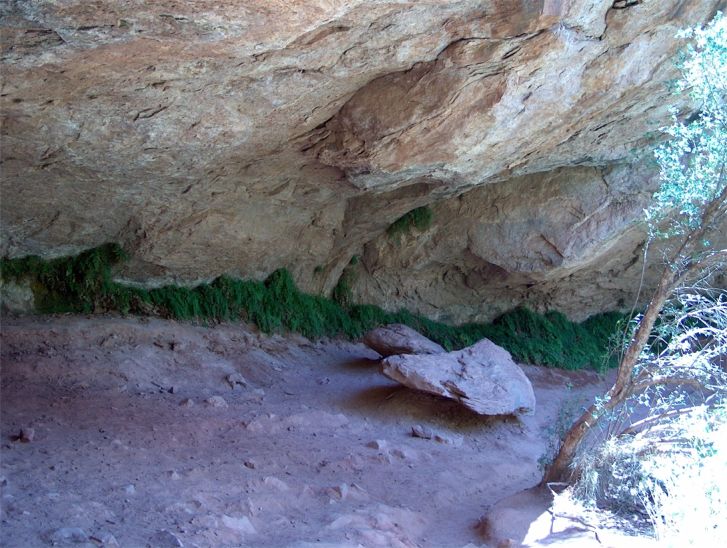 Zion National Park