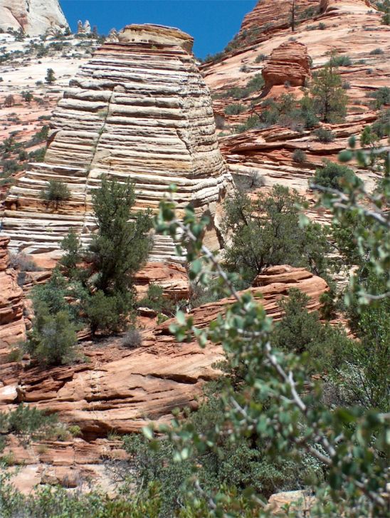 Zion National Park