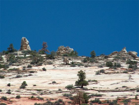 Zion National Park