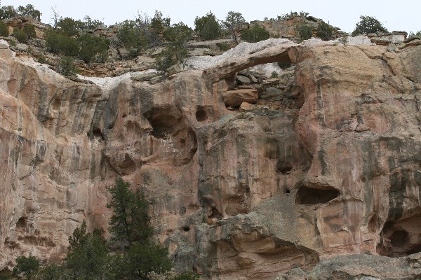 Zuni Arch