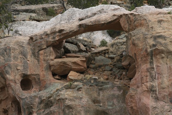 Zuni Arch